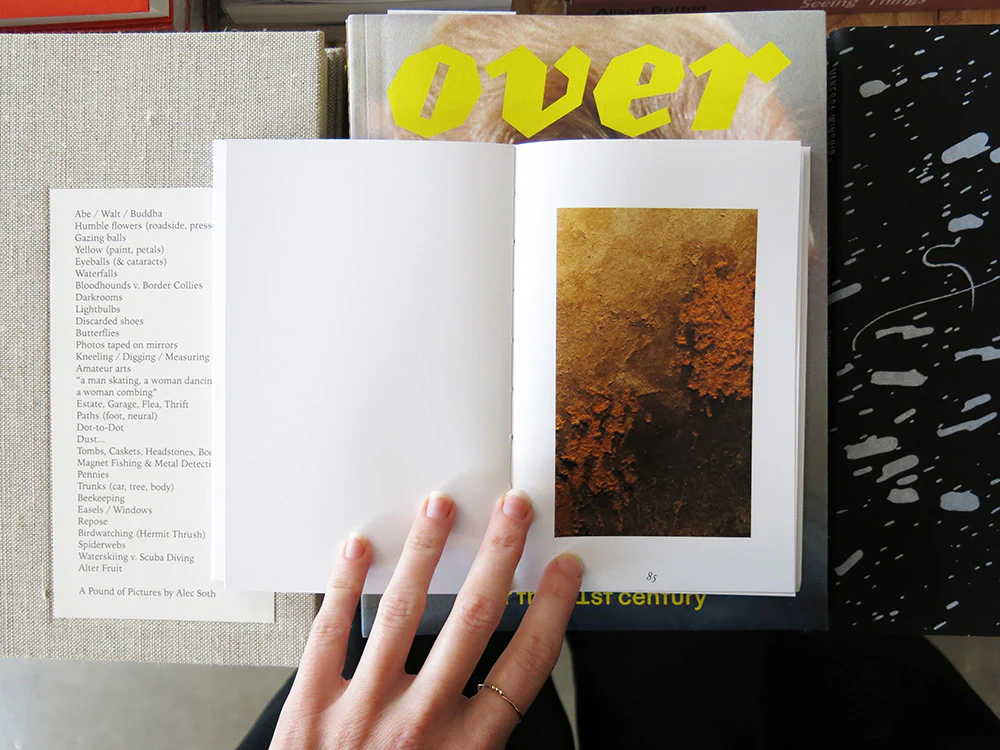 Susan Jacobs – The ants are in the idiom - Image 8