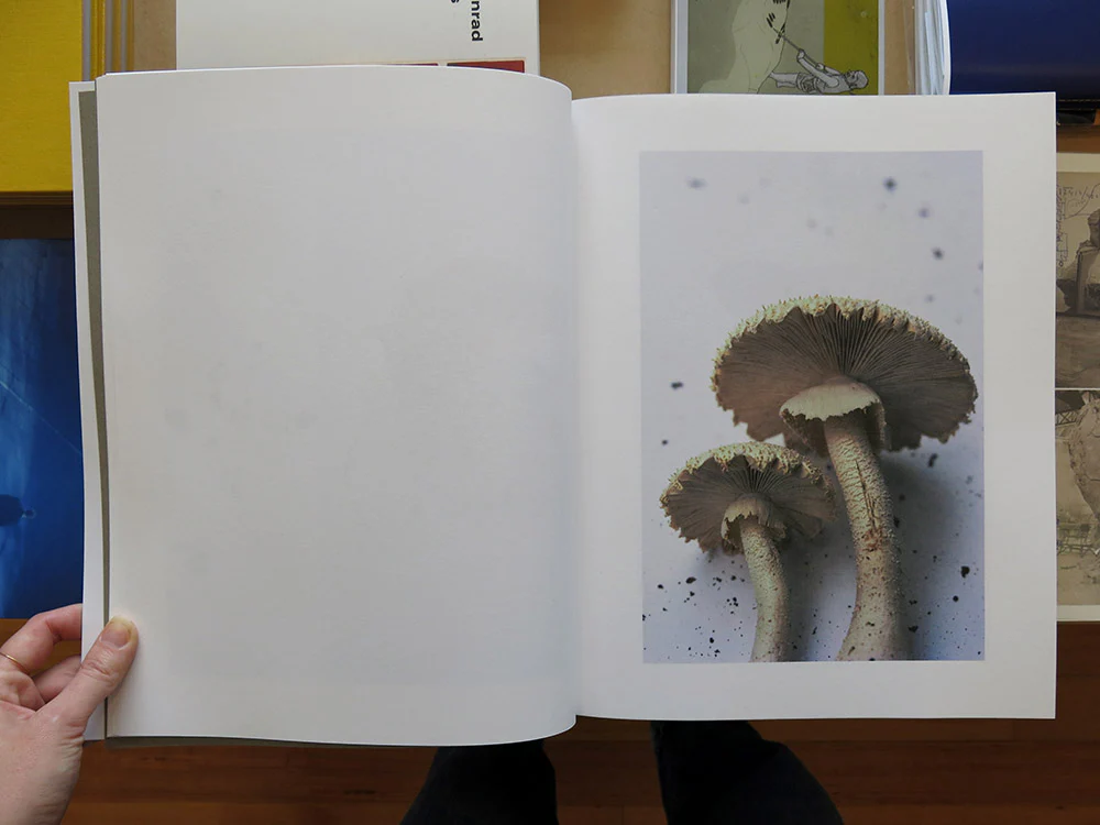 Takashi Homma – Symphony: mushrooms from the forest - Image 3