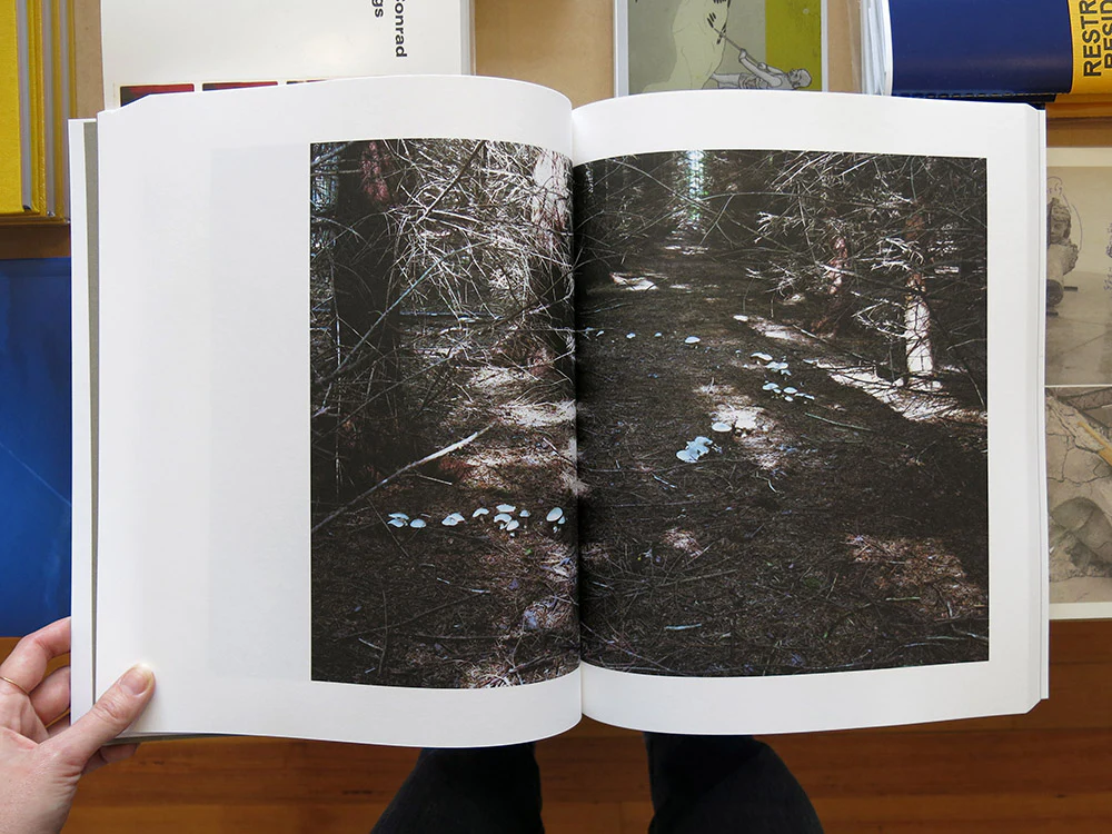 Takashi Homma – Symphony: mushrooms from the forest - Image 6