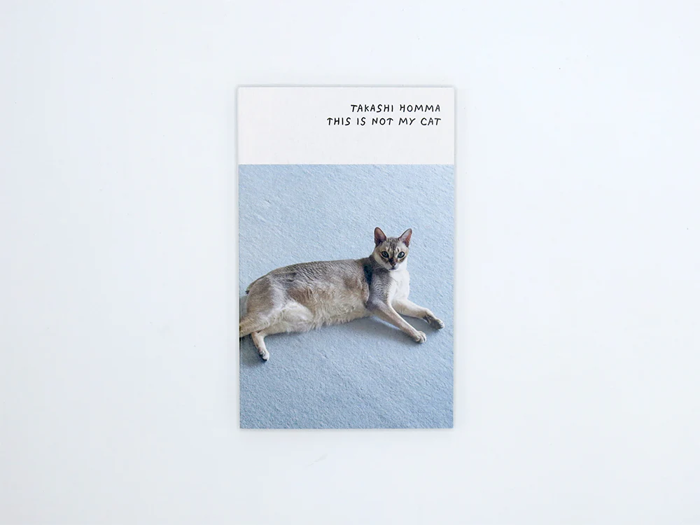 Takashi Homma – This Is Not My Cat - Image 2