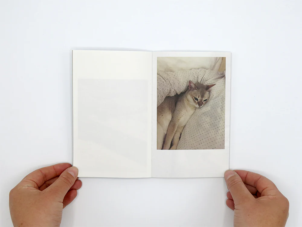 Takashi Homma – This Is Not My Cat - Image 3