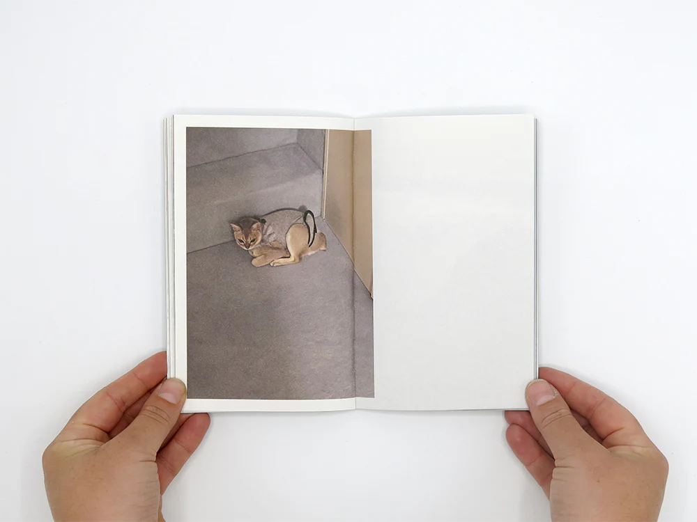 Takashi Homma – This Is Not My Cat - Image 6