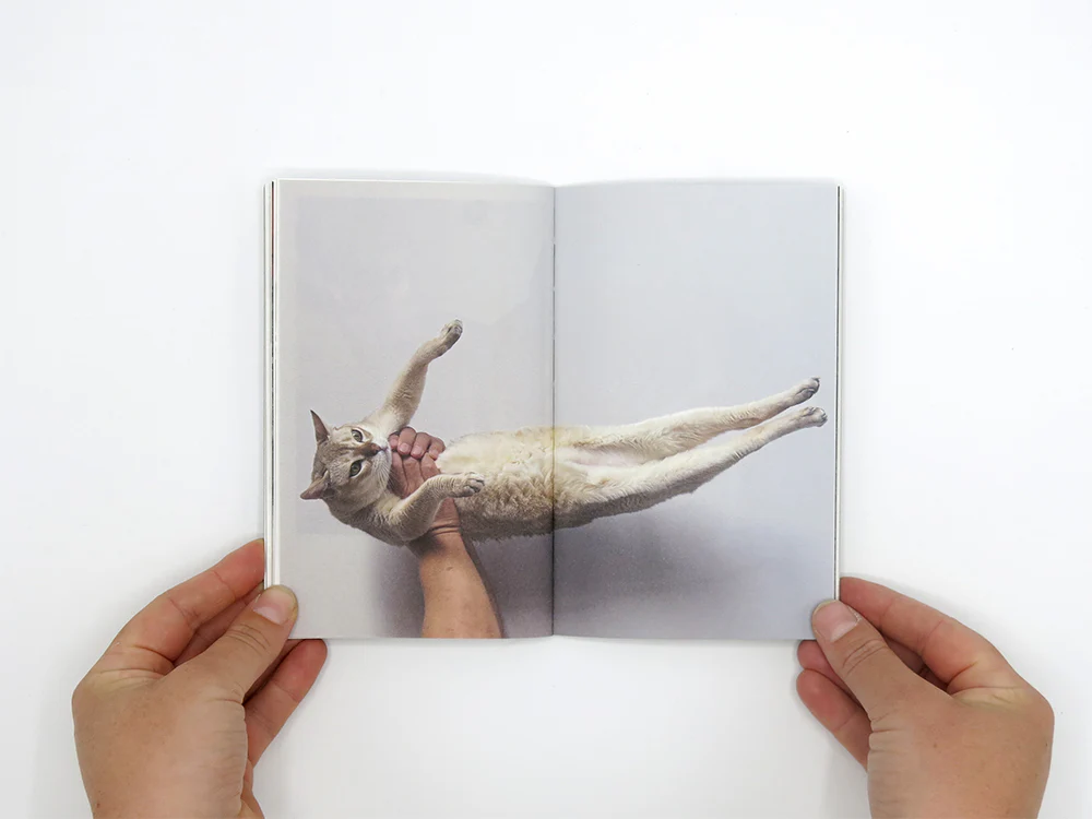 Takashi Homma – This Is Not My Cat - Image 7