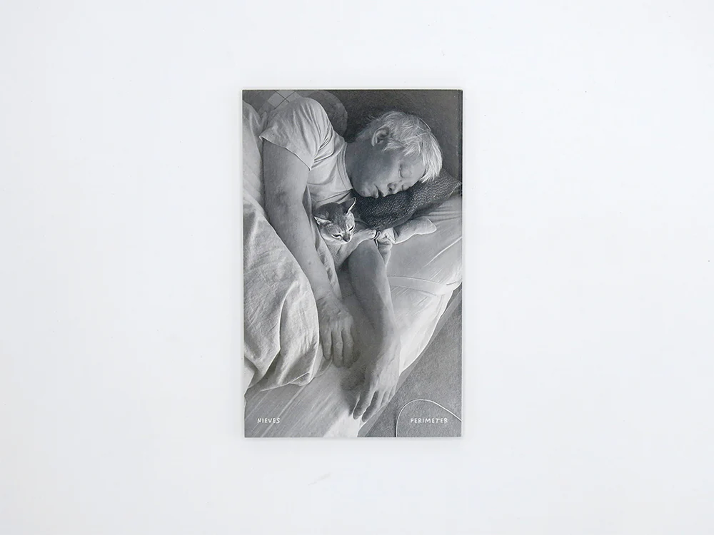 Takashi Homma – This Is Not My Cat - Image 8