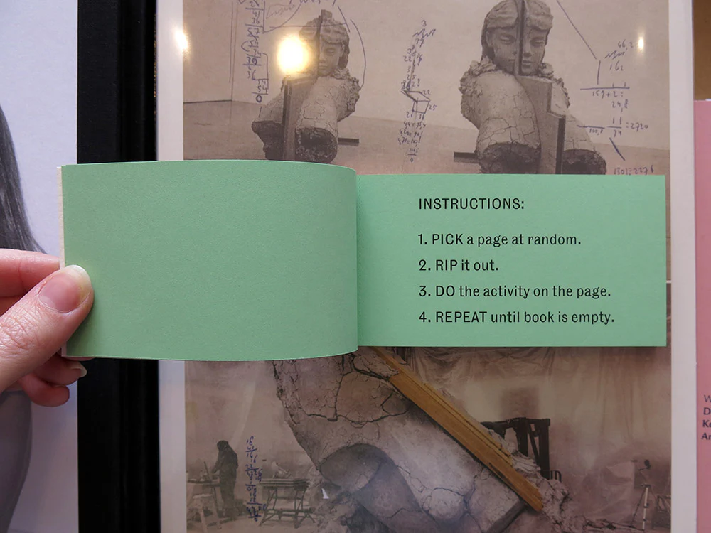 Tamara Shopsin & Jason Fulford – OFFLINE ACTIVITIES - Image 2