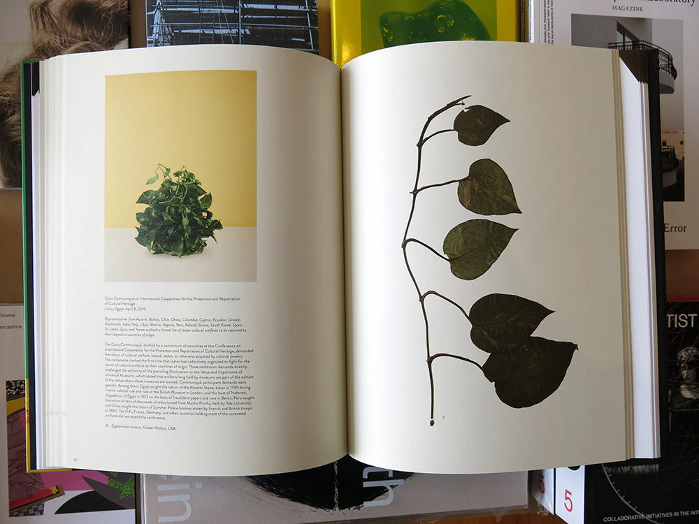 Taryn Simon - Paperwork and the Will of Capital - Image 5