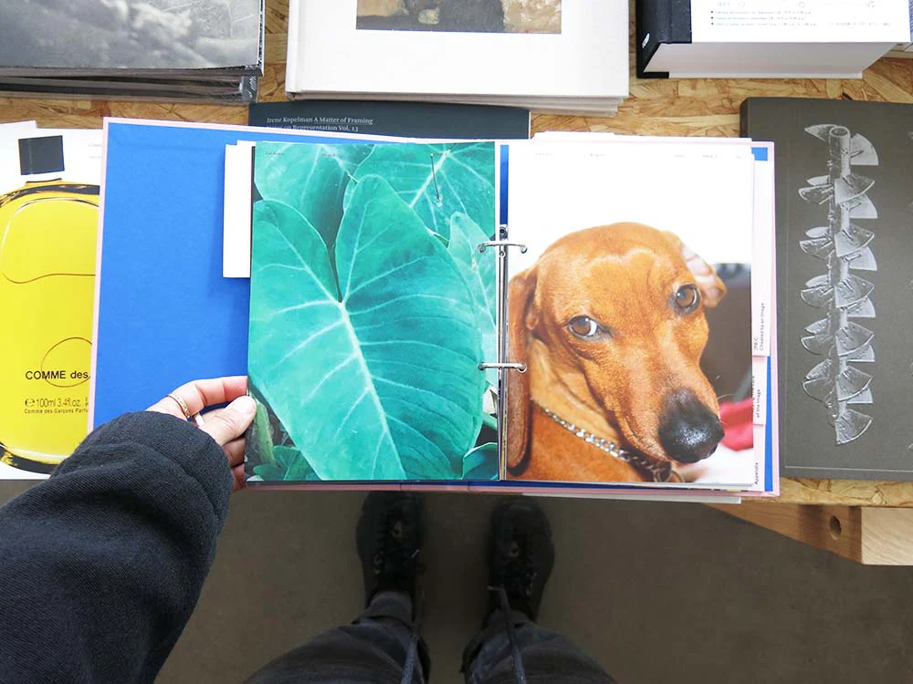 The Lure of the Image - Image 2
