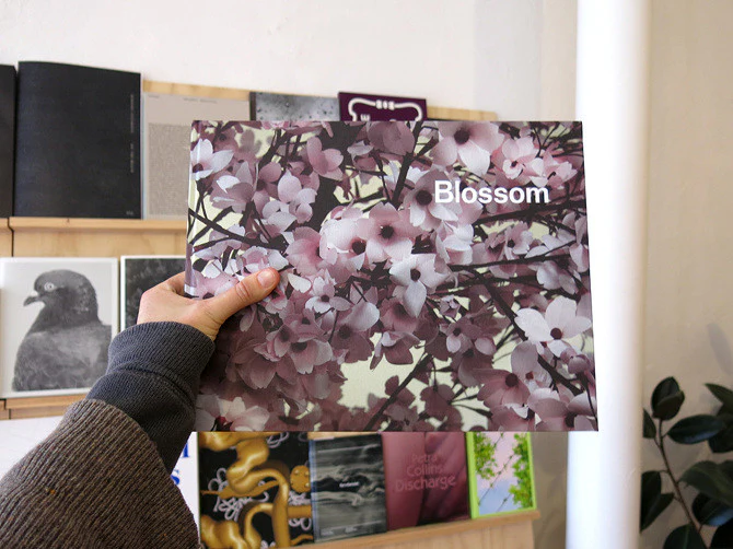 Thomas Demand & Ben Lerner - Blossom