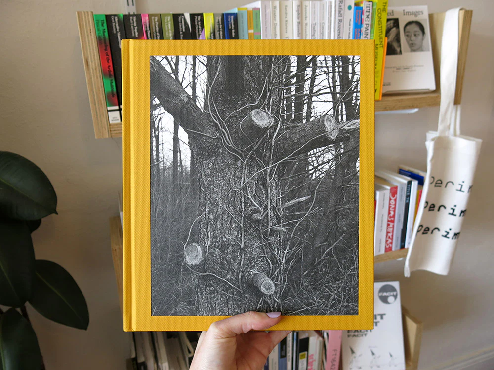 PRE-ORDER: Tim Carpenter – Christmas Day, Bucks Pond Road