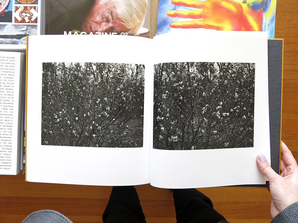 PRE-ORDER: Tim Carpenter – Christmas Day, Bucks Pond Road - Image 8