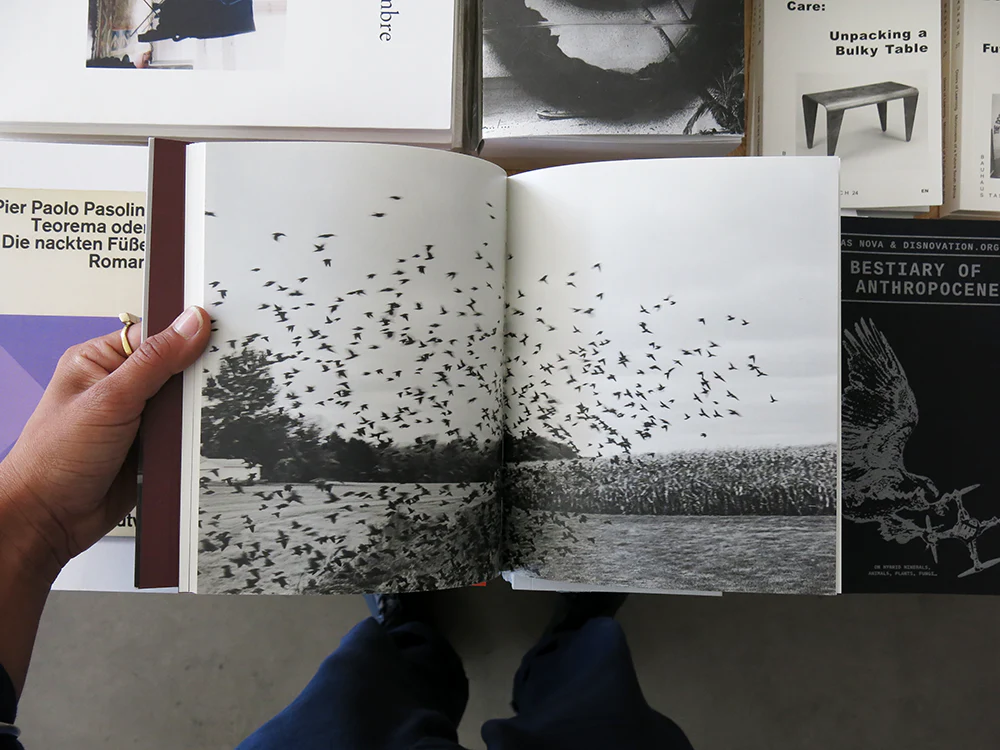 Tim Carpenter – Little - Image 3