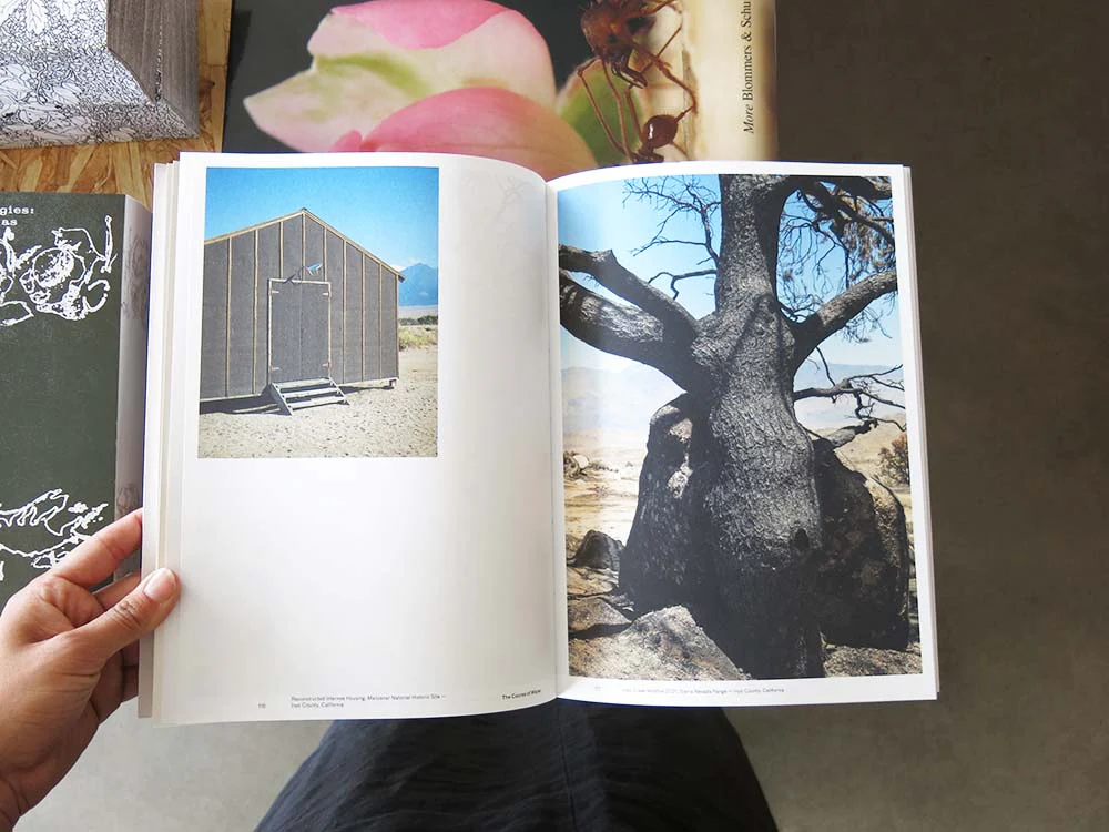 Todd Stewart & Robert Bailey – The Course of Water: Fieldnotes from California’s Owens Valley - Image 2