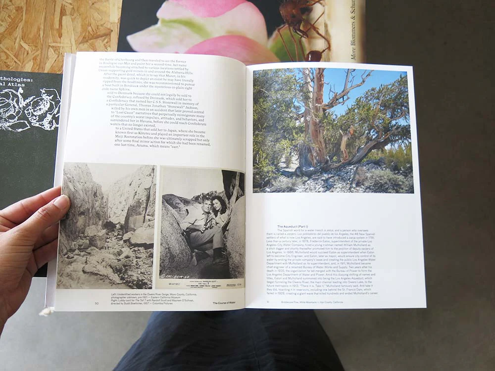 Todd Stewart & Robert Bailey – The Course of Water: Fieldnotes from California’s Owens Valley - Image 7