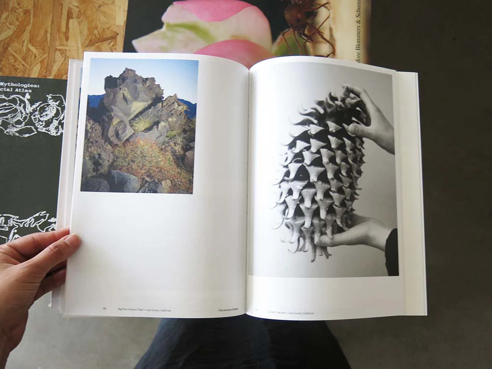 Todd Stewart & Robert Bailey – The Course of Water: Fieldnotes from California’s Owens Valley - Image 8