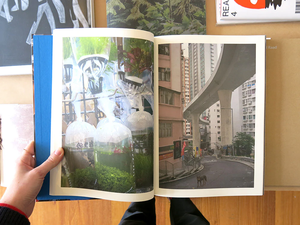 Volker Heinze – Mapping Hong Kong's Bet on Greed - Image 3