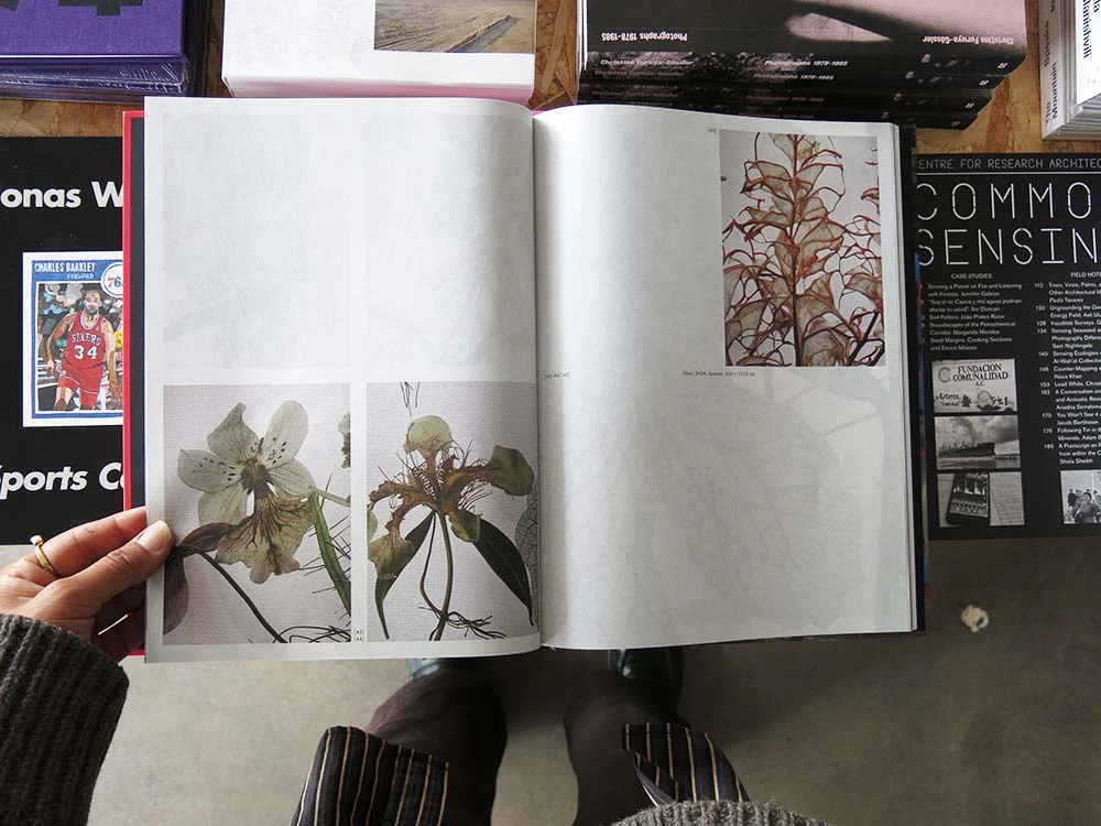 Wang Yuyang: Chaosmosis - Image 3