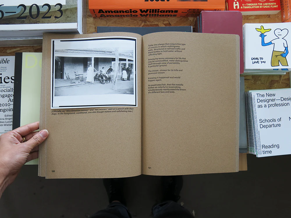 Widening the Lens: Photography, Ecology, and the Contemporary Landscape - Image 6