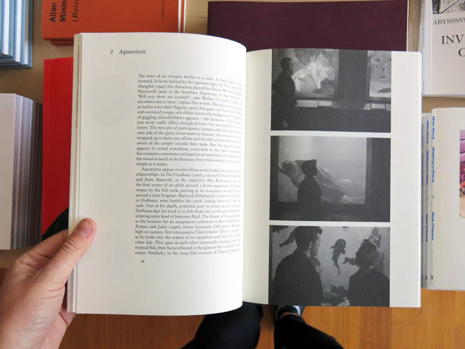William Firebrace - Memo For Nemo - Image 3