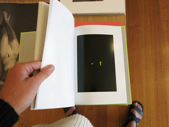 Yoshinori Mizutani - Tokyo Parrots - Image 5