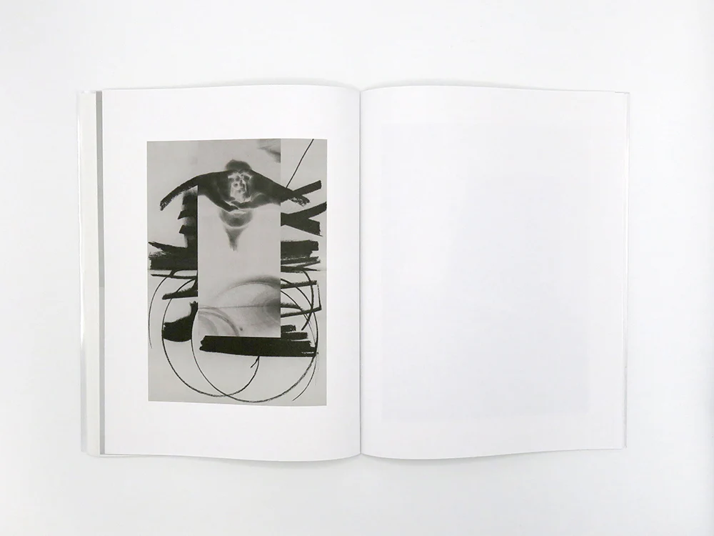 Zoë Croggon – How to Cut an Orange - Image 12