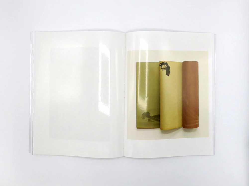 Zoë Croggon – How to Cut an Orange - Image 13