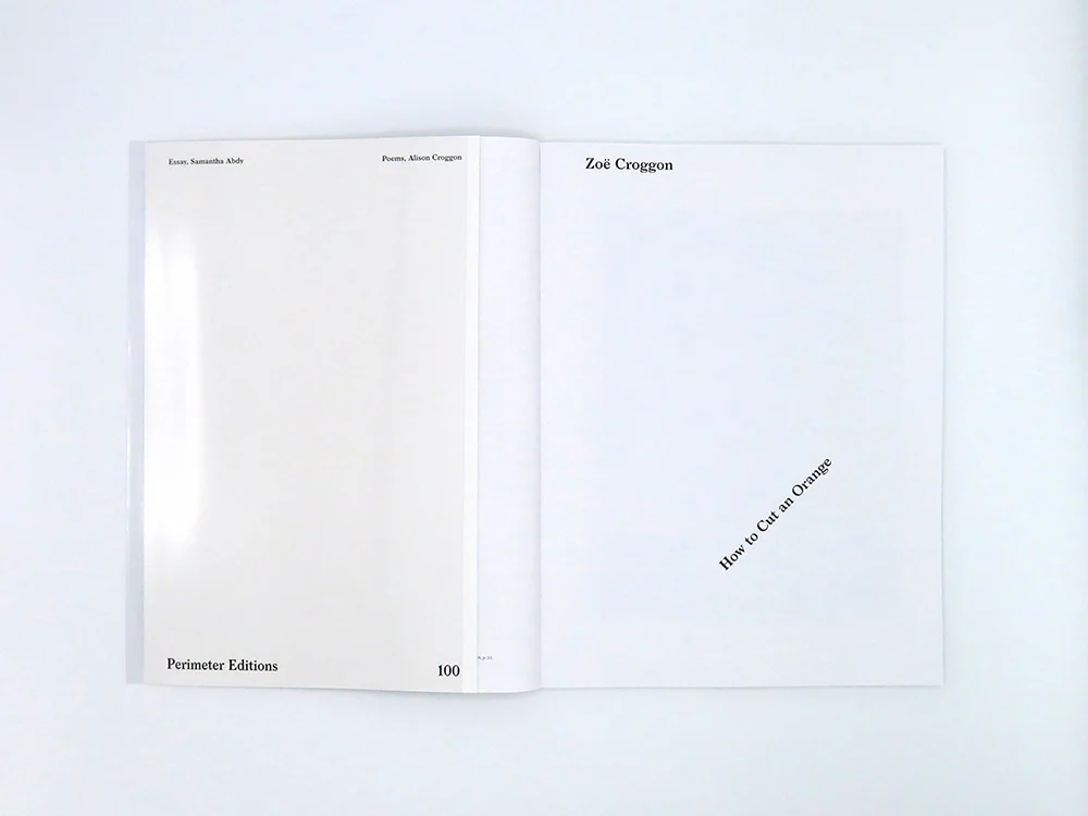 Zoë Croggon – How to Cut an Orange - Image 3